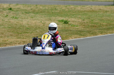 22/06/2014 : 4ème manche du Trophée Jean Paul Puyrigaud à Layrac (Photos Patrick Lascombes) 2014 — karting