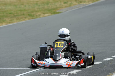 22/06/2014 : 4ème manche du Trophée Jean Paul Puyrigaud à Layrac (Photos Patrick Lascombes) 2014 — karting