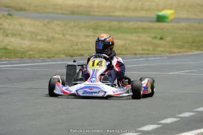 22/06/2014 : 4ème manche du Trophée Jean Paul Puyrigaud à Layrac (Photos Patrick Lascombes) 2014 — karting