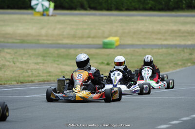 22/06/2014 : 4ème manche du Trophée Jean Paul Puyrigaud à Layrac (Photos Patrick Lascombes) 2014 — karting
