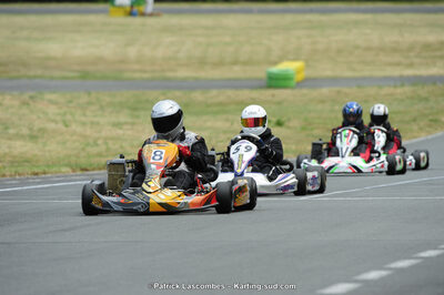 22/06/2014 : 4ème manche du Trophée Jean Paul Puyrigaud à Layrac (Photos Patrick Lascombes) 2014 — karting