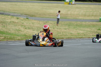22/06/2014 : 4ème manche du Trophée Jean Paul Puyrigaud à Layrac (Photos Patrick Lascombes) 2014 — karting