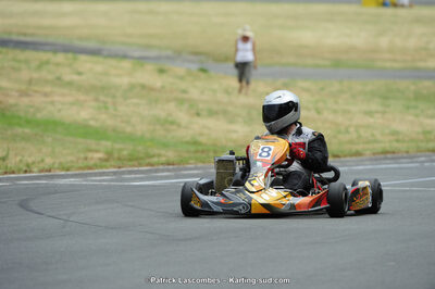 22/06/2014 : 4ème manche du Trophée Jean Paul Puyrigaud à Layrac (Photos Patrick Lascombes) 2014 — karting