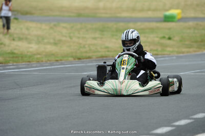 22/06/2014 : 4ème manche du Trophée Jean Paul Puyrigaud à Layrac (Photos Patrick Lascombes) 2014 — karting