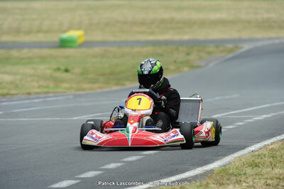 22/06/2014 : 4ème manche du Trophée Jean Paul Puyrigaud à Layrac (Photos Patrick Lascombes) 2014 — karting