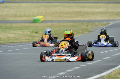 22/06/2014 : 4ème manche du Trophée Jean Paul Puyrigaud à Layrac (Photos Patrick Lascombes) 2014 — karting