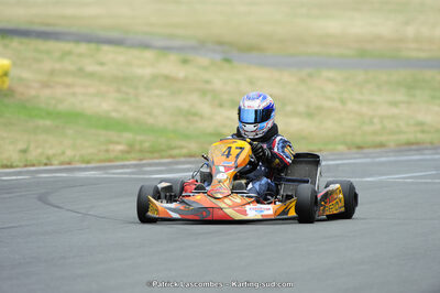 22/06/2014 : 4ème manche du Trophée Jean Paul Puyrigaud à Layrac (Photos Patrick Lascombes) 2014 — karting