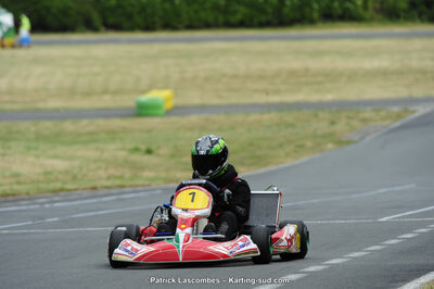 22/06/2014 : 4ème manche du Trophée Jean Paul Puyrigaud à Layrac (Photos Patrick Lascombes) 2014 — karting