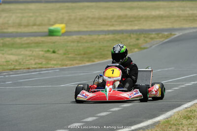 22/06/2014 : 4ème manche du Trophée Jean Paul Puyrigaud à Layrac (Photos Patrick Lascombes) 2014 — karting