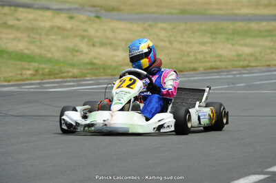 22/06/2014 : 4ème manche du Trophée Jean Paul Puyrigaud à Layrac (Photos Patrick Lascombes) 2014 — karting