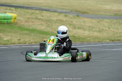 22/06/2014 : 4ème manche du Trophée Jean Paul Puyrigaud à Layrac (Photos Patrick Lascombes) 2014 — karting