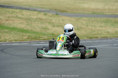 22/06/2014 : 4ème manche du Trophée Jean Paul Puyrigaud à Layrac (Photos Patrick Lascombes) 2014 — karting