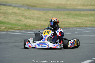 22/06/2014 : 4ème manche du Trophée Jean Paul Puyrigaud à Layrac (Photos Patrick Lascombes) 2014 — karting
