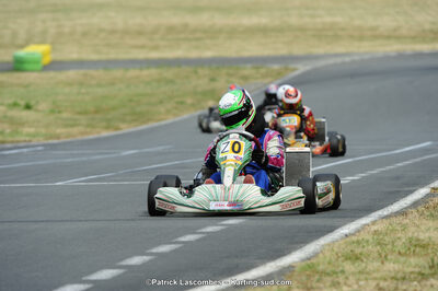 22/06/2014 : 4ème manche du Trophée Jean Paul Puyrigaud à Layrac (Photos Patrick Lascombes) 2014 — karting