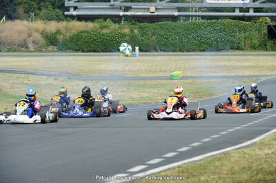 22/06/2014 : 4ème manche du Trophée Jean Paul Puyrigaud à Layrac (Photos Patrick Lascombes) 2014 — karting