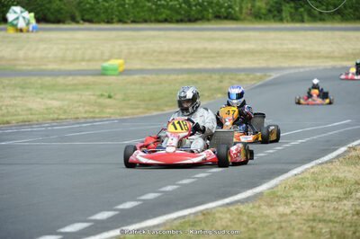 22/06/2014 : 4ème manche du Trophée Jean Paul Puyrigaud à Layrac (Photos Patrick Lascombes) 2014 — karting