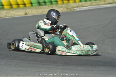 22/06/2014 : 4ème manche du Trophée Jean Paul Puyrigaud à Layrac (Photos Patrick Lascombes) 2014 — karting