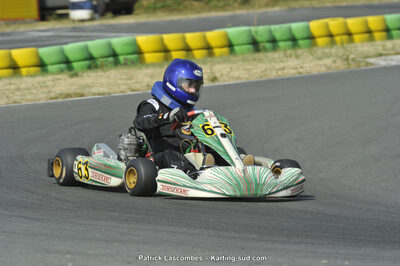 22/06/2014 : 4ème manche du Trophée Jean Paul Puyrigaud à Layrac (Photos Patrick Lascombes) 2014 — karting