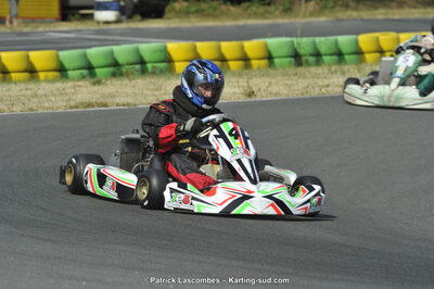 22/06/2014 : 4ème manche du Trophée Jean Paul Puyrigaud à Layrac (Photos Patrick Lascombes) 2014 — karting