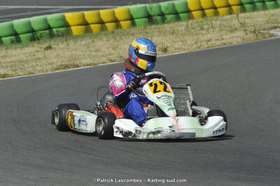 22/06/2014 : 4ème manche du Trophée Jean Paul Puyrigaud à Layrac (Photos Patrick Lascombes) 2014 — karting