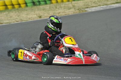 22/06/2014 : 4ème manche du Trophée Jean Paul Puyrigaud à Layrac (Photos Patrick Lascombes) 2014 — karting