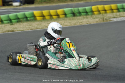 22/06/2014 : 4ème manche du Trophée Jean Paul Puyrigaud à Layrac (Photos Patrick Lascombes) 2014 — karting