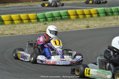 22/06/2014 : 4ème manche du Trophée Jean Paul Puyrigaud à Layrac (Photos Patrick Lascombes) 2014 — karting