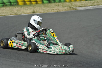 22/06/2014 : 4ème manche du Trophée Jean Paul Puyrigaud à Layrac (Photos Patrick Lascombes) 2014 — karting