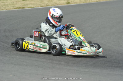 22/06/2014 : 4ème manche du Trophée Jean Paul Puyrigaud à Layrac (Photos Patrick Lascombes) 2014 — karting
