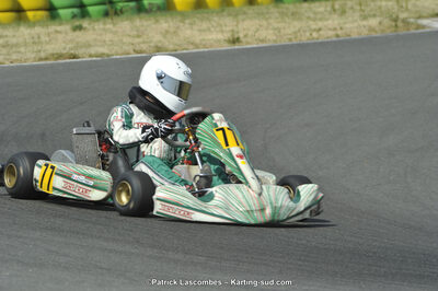 22/06/2014 : 4ème manche du Trophée Jean Paul Puyrigaud à Layrac (Photos Patrick Lascombes) 2014 — karting