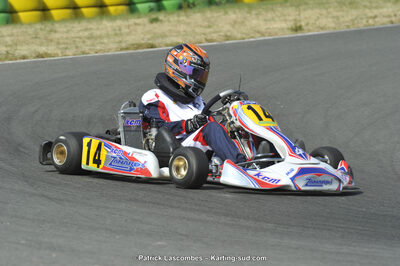 22/06/2014 : 4ème manche du Trophée Jean Paul Puyrigaud à Layrac (Photos Patrick Lascombes) 2014 — karting