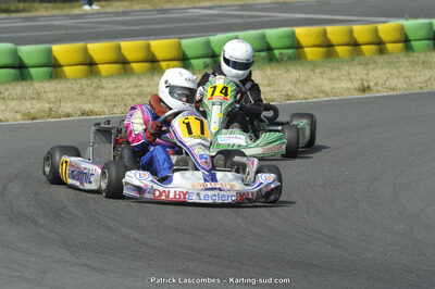22/06/2014 : 4ème manche du Trophée Jean Paul Puyrigaud à Layrac (Photos Patrick Lascombes) 2014 — karting