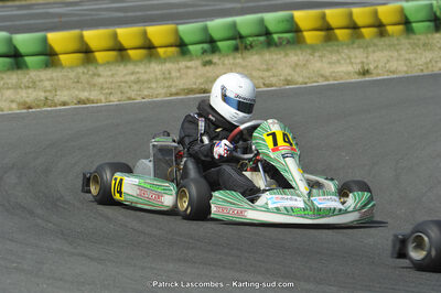 22/06/2014 : 4ème manche du Trophée Jean Paul Puyrigaud à Layrac (Photos Patrick Lascombes) 2014 — karting