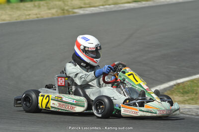 22/06/2014 : 4ème manche du Trophée Jean Paul Puyrigaud à Layrac (Photos Patrick Lascombes) 2014 — karting