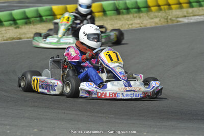 22/06/2014 : 4ème manche du Trophée Jean Paul Puyrigaud à Layrac (Photos Patrick Lascombes) 2014 — karting