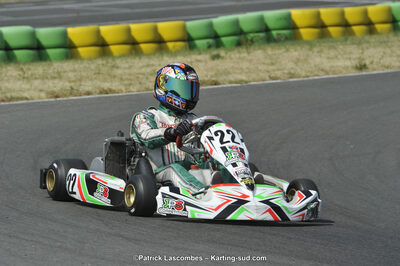 22/06/2014 : 4ème manche du Trophée Jean Paul Puyrigaud à Layrac (Photos Patrick Lascombes) 2014 — karting