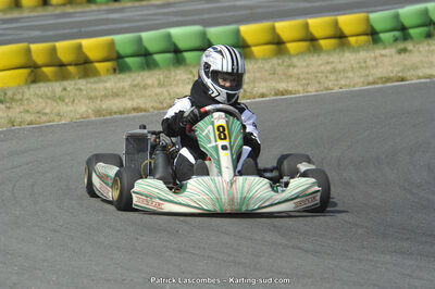22/06/2014 : 4ème manche du Trophée Jean Paul Puyrigaud à Layrac (Photos Patrick Lascombes) 2014 — karting
