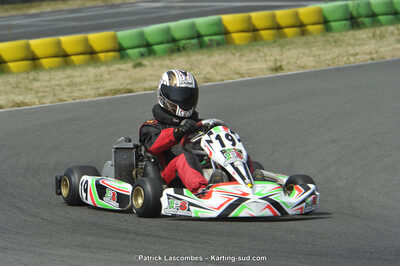 22/06/2014 : 4ème manche du Trophée Jean Paul Puyrigaud à Layrac (Photos Patrick Lascombes) 2014 — karting