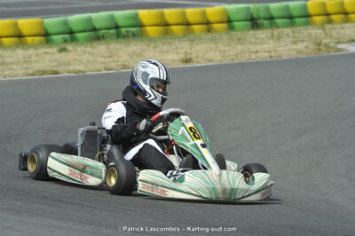 22/06/2014 : 4ème manche du Trophée Jean Paul Puyrigaud à Layrac (Photos Patrick Lascombes) 2014 — karting