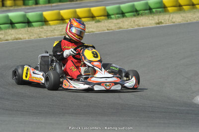 22/06/2014 : 4ème manche du Trophée Jean Paul Puyrigaud à Layrac (Photos Patrick Lascombes) 2014 — karting