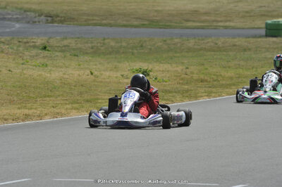 22/06/2014 : 4ème manche du Trophée Jean Paul Puyrigaud à Layrac (Photos Patrick Lascombes) 2014 — karting