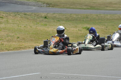 22/06/2014 : 4ème manche du Trophée Jean Paul Puyrigaud à Layrac (Photos Patrick Lascombes) 2014 — karting