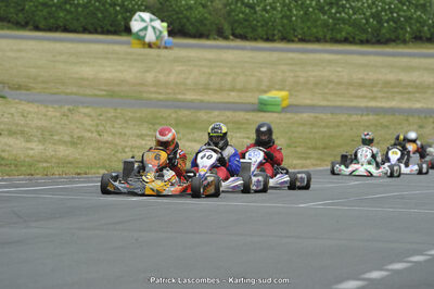 22/06/2014 : 4ème manche du Trophée Jean Paul Puyrigaud à Layrac (Photos Patrick Lascombes) 2014 — karting