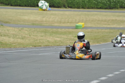 22/06/2014 : 4ème manche du Trophée Jean Paul Puyrigaud à Layrac (Photos Patrick Lascombes) 2014 — karting