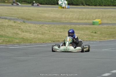 22/06/2014 : 4ème manche du Trophée Jean Paul Puyrigaud à Layrac (Photos Patrick Lascombes) 2014 — karting