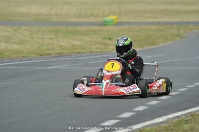 22/06/2014 : 4ème manche du Trophée Jean Paul Puyrigaud à Layrac (Photos Patrick Lascombes) 2014 — karting