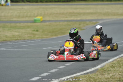 22/06/2014 : 4ème manche du Trophée Jean Paul Puyrigaud à Layrac (Photos Patrick Lascombes) 2014 — karting