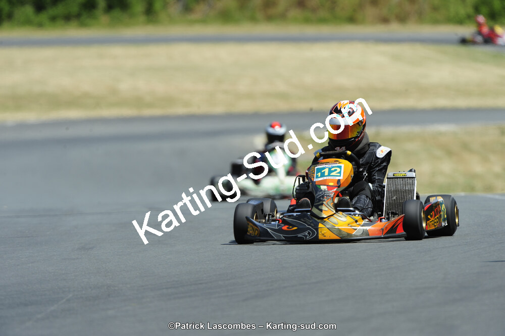 22/06/2014 : 4ème manche du Trophée Jean Paul Puyrigaud à Layrac (Photos Patrick Lascombes) 2014 — karting