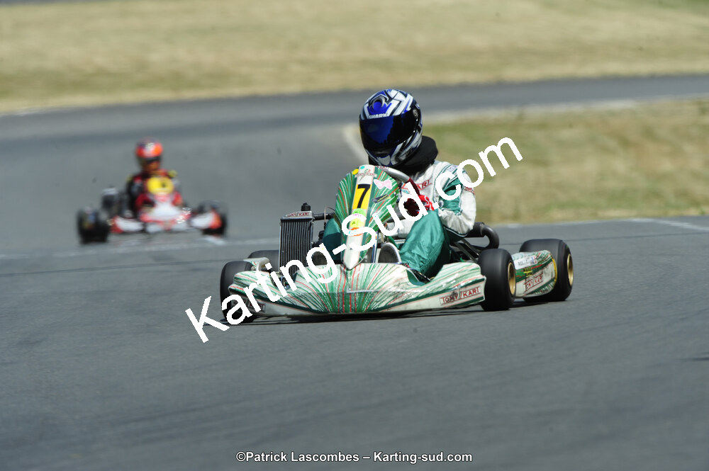 22/06/2014 : 4ème manche du Trophée Jean Paul Puyrigaud à Layrac (Photos Patrick Lascombes) 2014 — karting
