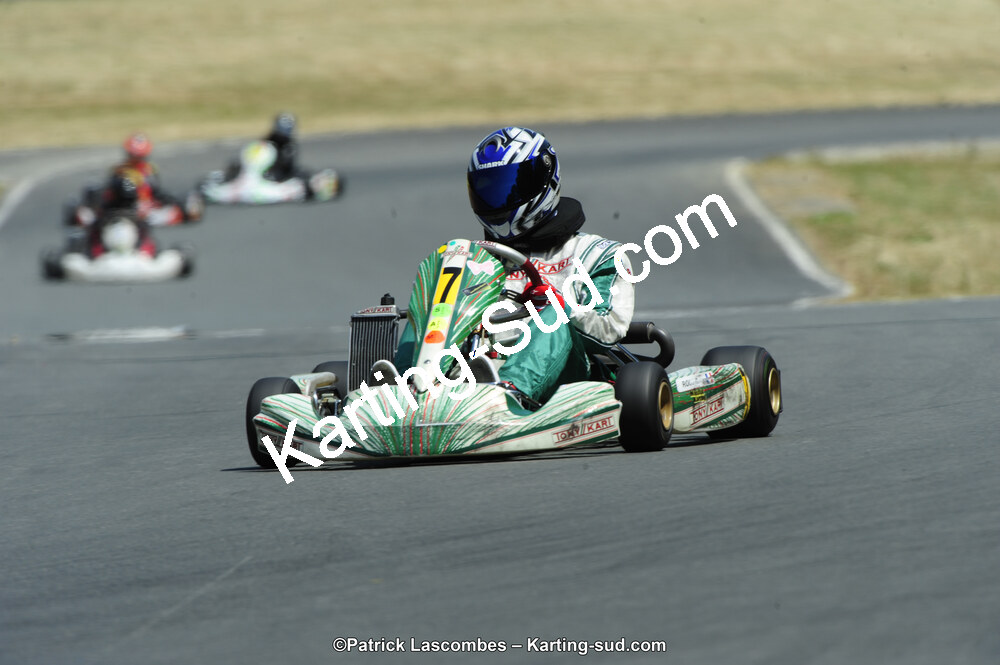 22/06/2014 : 4ème manche du Trophée Jean Paul Puyrigaud à Layrac (Photos Patrick Lascombes) 2014 — karting